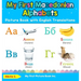 My First Macedonian Alphabets Picture Book with English Translations: Bilingual Early Learning & Easy Teaching Macedonian Books for Kids