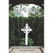 Death Is My Life