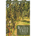 The Guava Tree