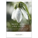 Body, Mind, and Spirit: Daily Meditations