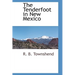 The Tenderfoot in New Mexico