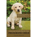 A Spiritual Growth Plan for Your Phlegmatic Child