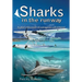 Sharks in the Runway: A Seaplane Pilot's Fifty-Year Journey Through Bahamian Times!