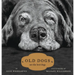 Old Dogs: Are the Best Dogs