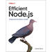 Efficient Node.Js: A Beyond-The-Basics Guide