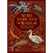 Secret Stories of Lost Beasts: A Field Guide to Uncover Earth's Ancient Animals