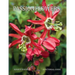 Passionflowers: A Pictorial Guide