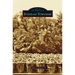 Evesham Township