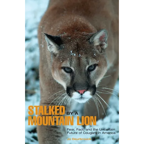 Stalked by a Mountain Lion: Fear, Fact, And The Uncertain Future Of Cougars In America