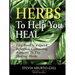 Herbs to Help You Heal