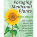 Foraging Medicinal Plants of New England: How to safely identify and prepare over 100 medicinal plants for herbal remedies