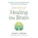 Secrets of Healing the Brain
