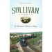 Sullivan County: A Bicentennial History in Images