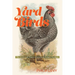 Yard Birds: The Lives and Times of America's Urban Chickens