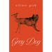 Grey Dog