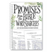 Promises from the Bible Word Searches