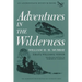Adventures in the Wilderness