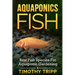 Aquaponics Fish: Best Fish Species For Aquaponic Gardening