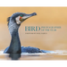 Bird Photographer of the Year: Collection 10
