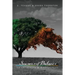 Seasons of Balance: On Creativity and Mindfulness