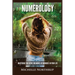 Numerology: Mastering The Secret Meanings Of Numbers In Your Life