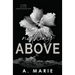 Nothing Above: A Dark Romance Standalone