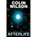 Afterlife: An Investigation