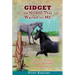Gidget -- The Horse That Waited For Me