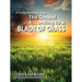 The Gospel According to a Blade of Grass