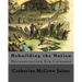 Rebuilding the Nation: Reconstruction Era Cartoons and other Illustrations