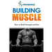 Building Muscle: How to Build Strength and Size
