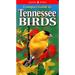 Compact Guide to Tennessee Birds