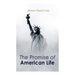 The Promise of American Life: Political and Economic Theory Classic
