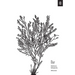 An Elegant Puzzle: Systems of Engineering Management