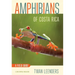 Amphibians of Costa Rica: A Field Guide