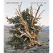 Mitch Epstein: American Nature