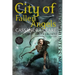 City of Fallen Angels