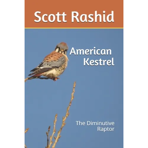 The American Kestrel: The Diminutive Raptor