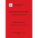 Glass Beads in Ancient India: An Ethnoarchaeological Approach