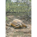 Arizona's Amphibians & Reptiles: A Natural History and Field Guide