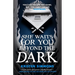 She Waits for You Beyond the Dark