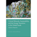 Critical Minerals, Sustainability, and the Energy Transition in the Global South: A Justice Perspective
