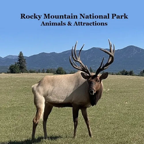Rocky Mountain National Park Animals & Attractions Kids Book: Great Way for Kids to See the Animals and Attractions in Rocky Mountain National Park