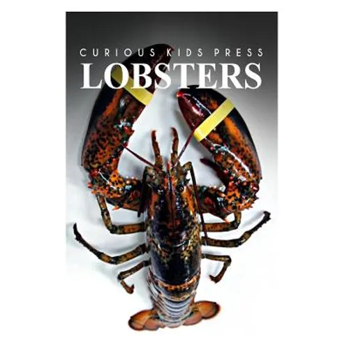 Lobster - Curious Kids Press: Kids book about animals and wildlife, Children's books 4-6
