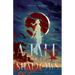 A Tale for the Shadows: a novel of death and love