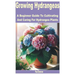 Growing Hydrangeas: A Beginner Guide to Cultivating and Caring for Hydrangea Plants