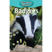 Badgers