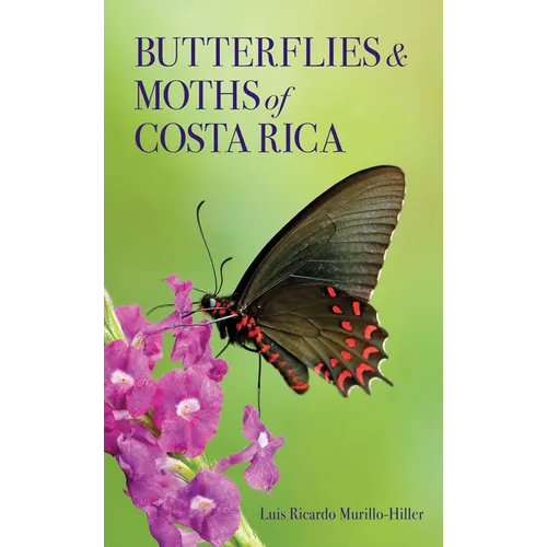 Butterflies and Moths of Costa Rica
