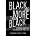 Black and More Than Black: African American Fiction in the Post Era