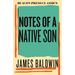 Notes of a Native Son